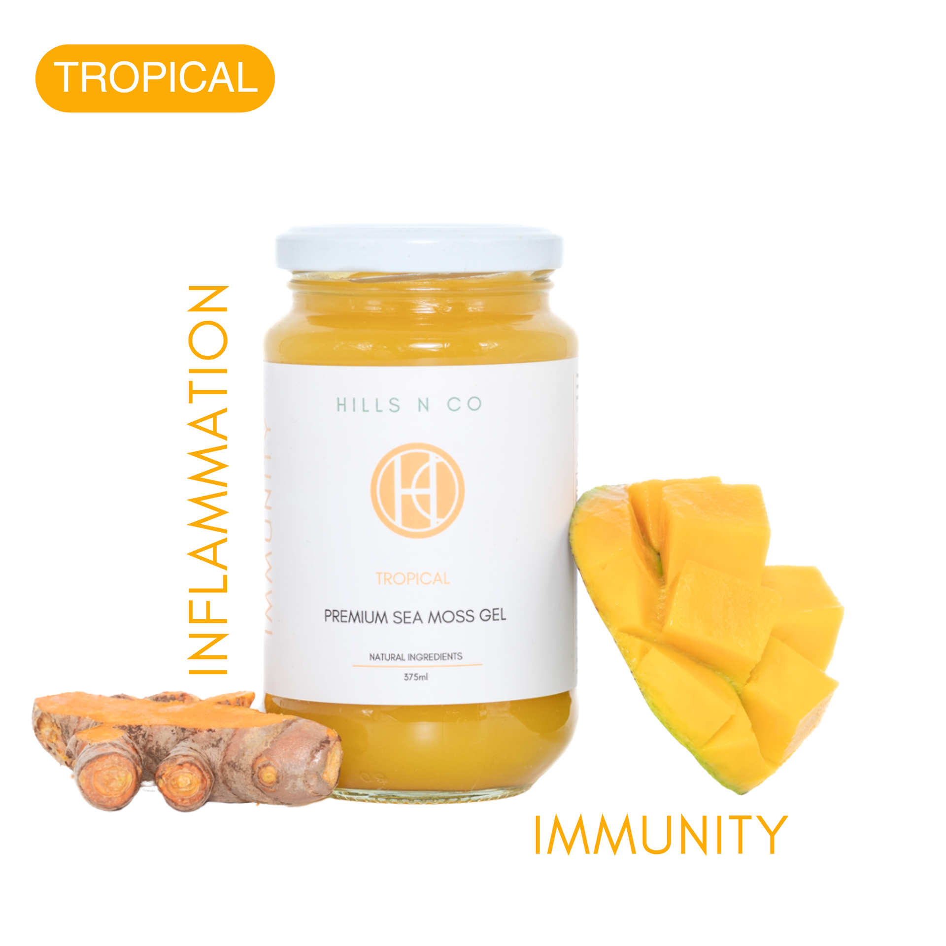 Tropical Sea Moss Gel – Mango & Turmeric | Hills N Co