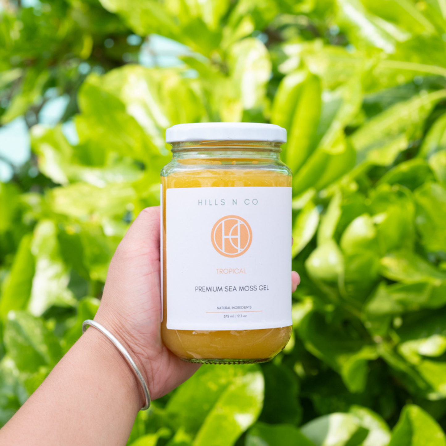 Tropical Sea Moss Gel – Mango & Turmeric | Hills N Co