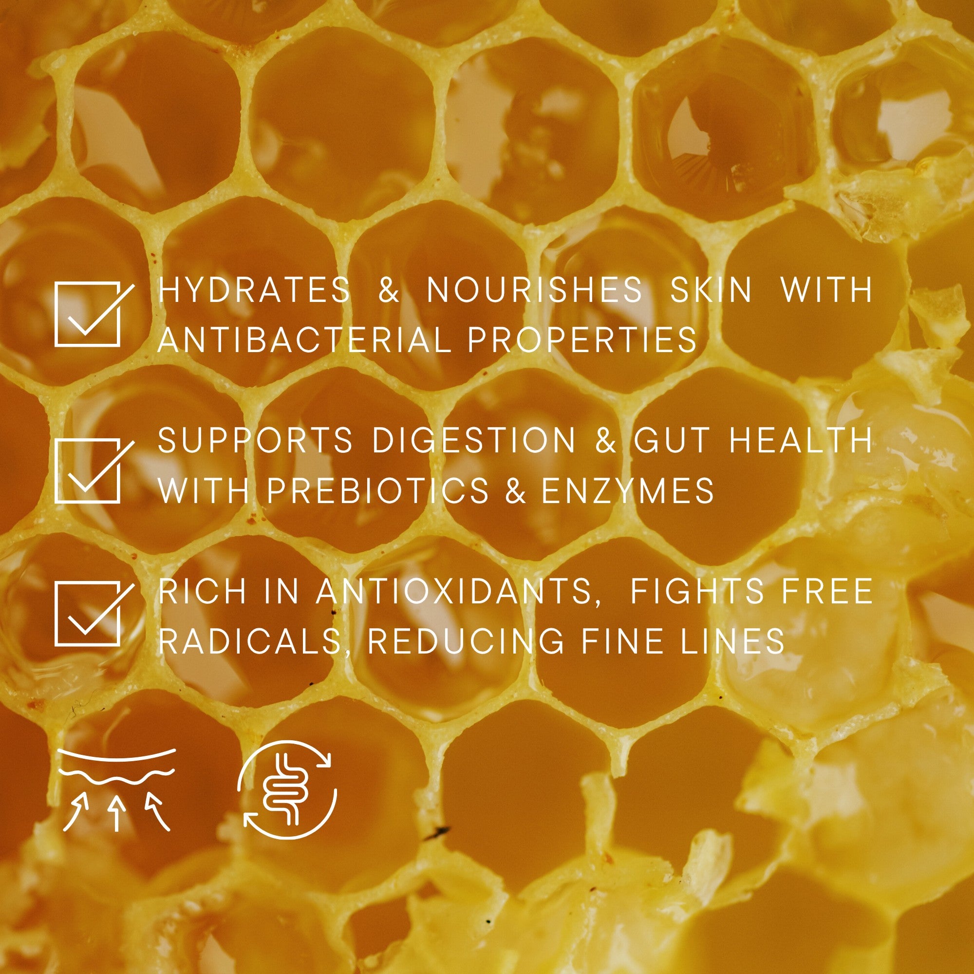 Honey Sea Moss Gel – Mineral-Rich & Probiotic | Hills N Co