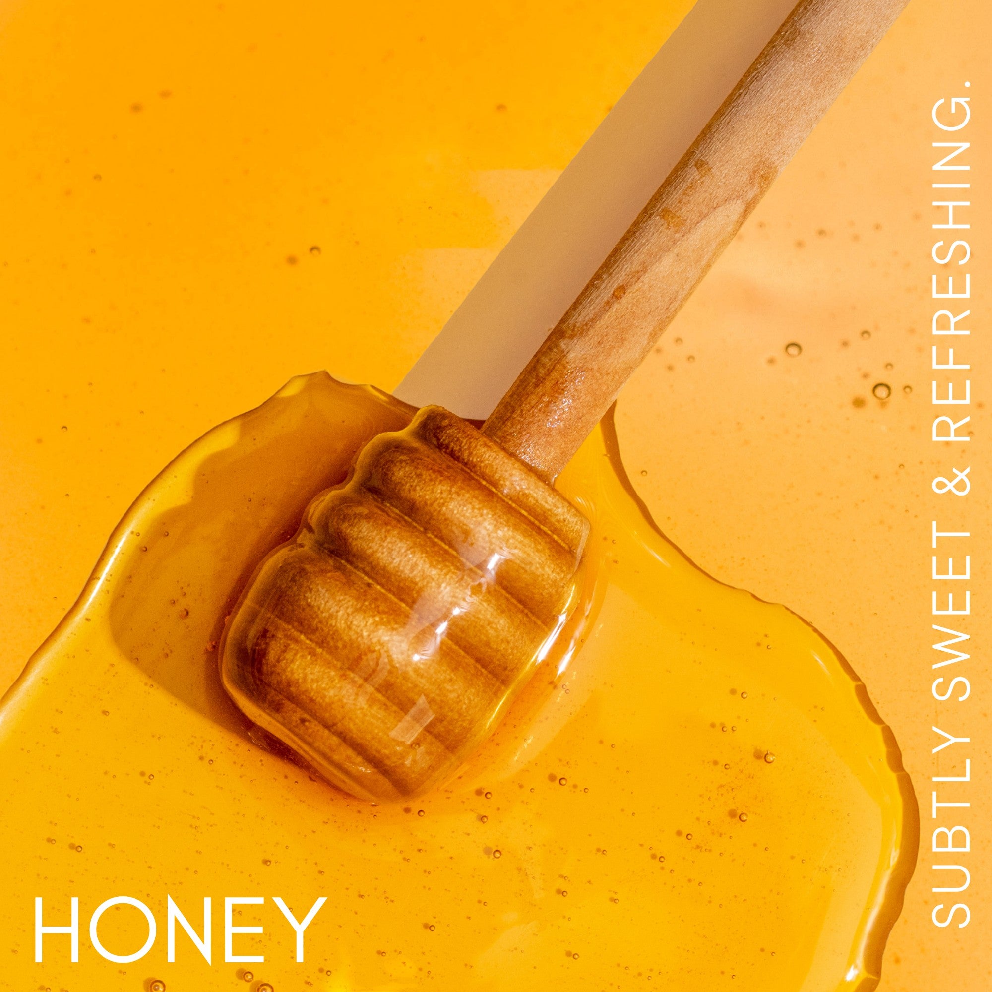 Honey Sea Moss Gel – Mineral-Rich & Probiotic | Hills N Co