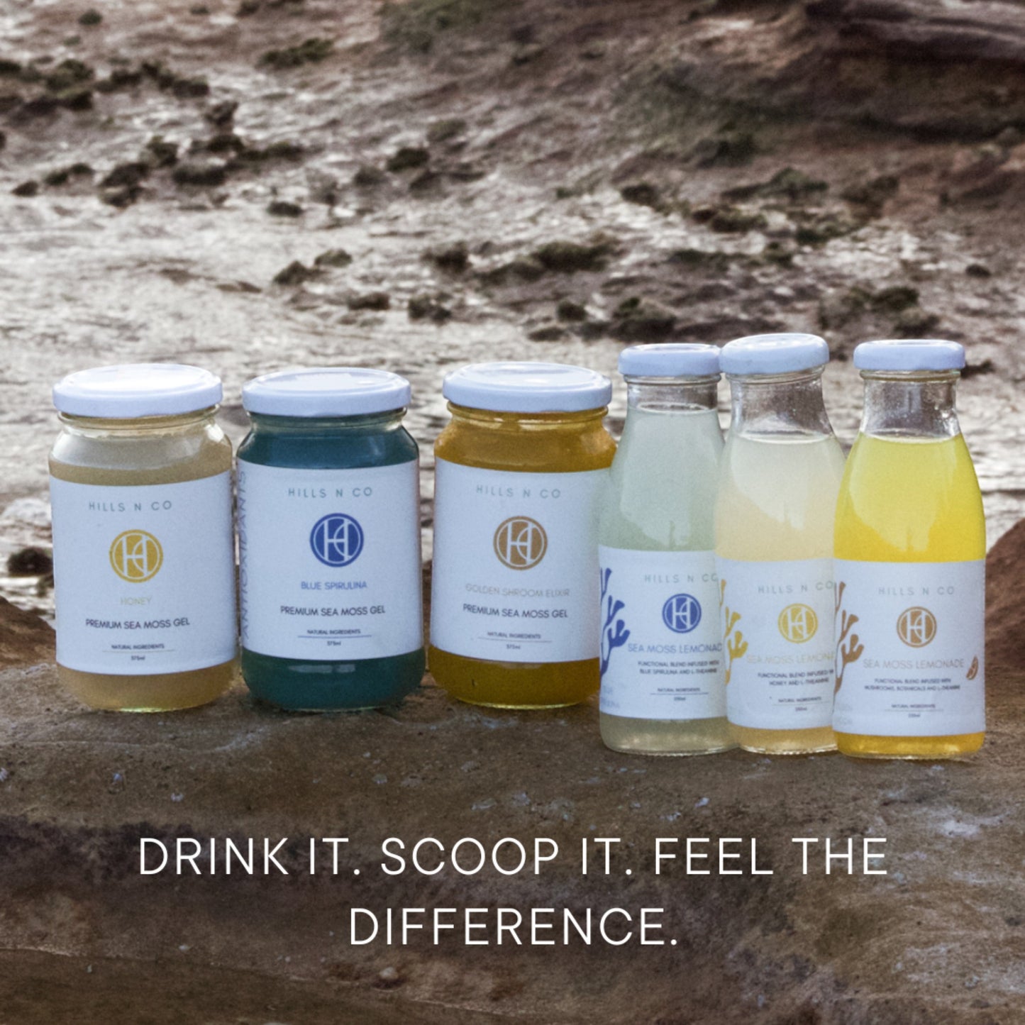 Hills N Co Sea Moss Gel and Lemonade bundle in glass jars and bottles on a rocky surface.