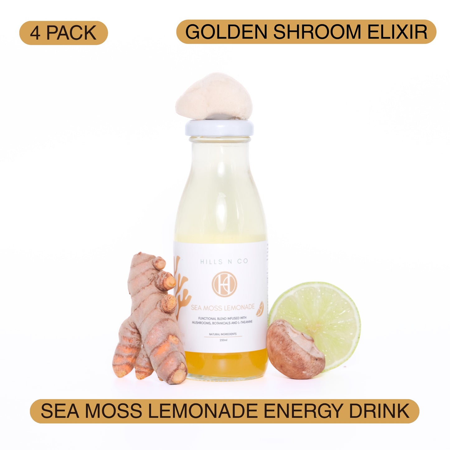 Hills N Co Golden Shroom Elixir Sea Moss Lemonade Energy Drink, 4 pack, functional blend with mushrooms, turmeric, and lime.