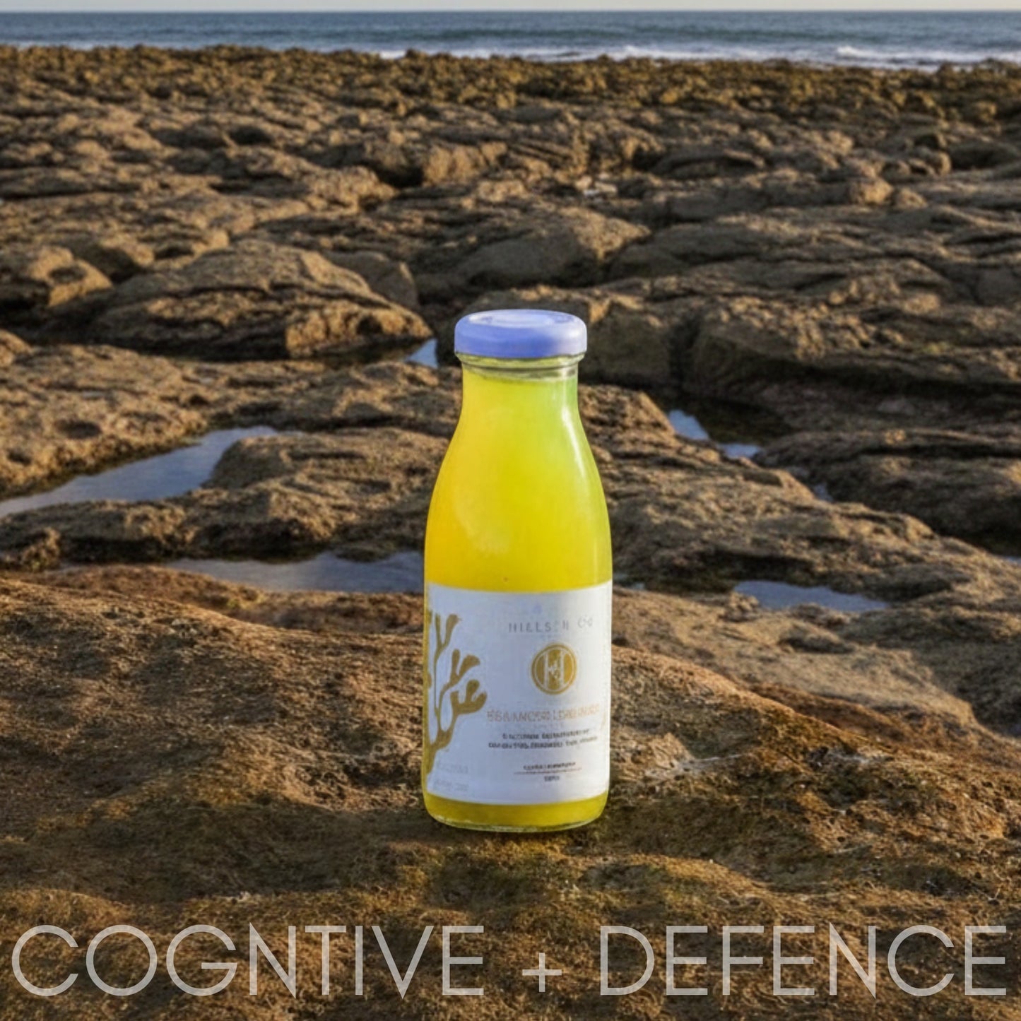Hills N Co Golden Shroom Elixir Sea Moss Lemonade Energy Drink, yellow liquid in glass bottle with blue cap, on rocks by the sea.