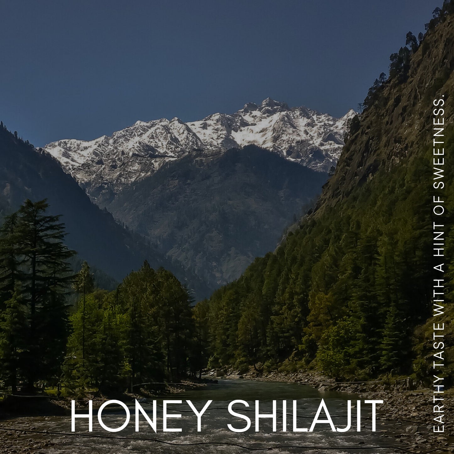 Hills N Co Pure Shilajit Resin Honey Infused, a natural blend for energy and wellness, set against a Himalayan mountain landscape.