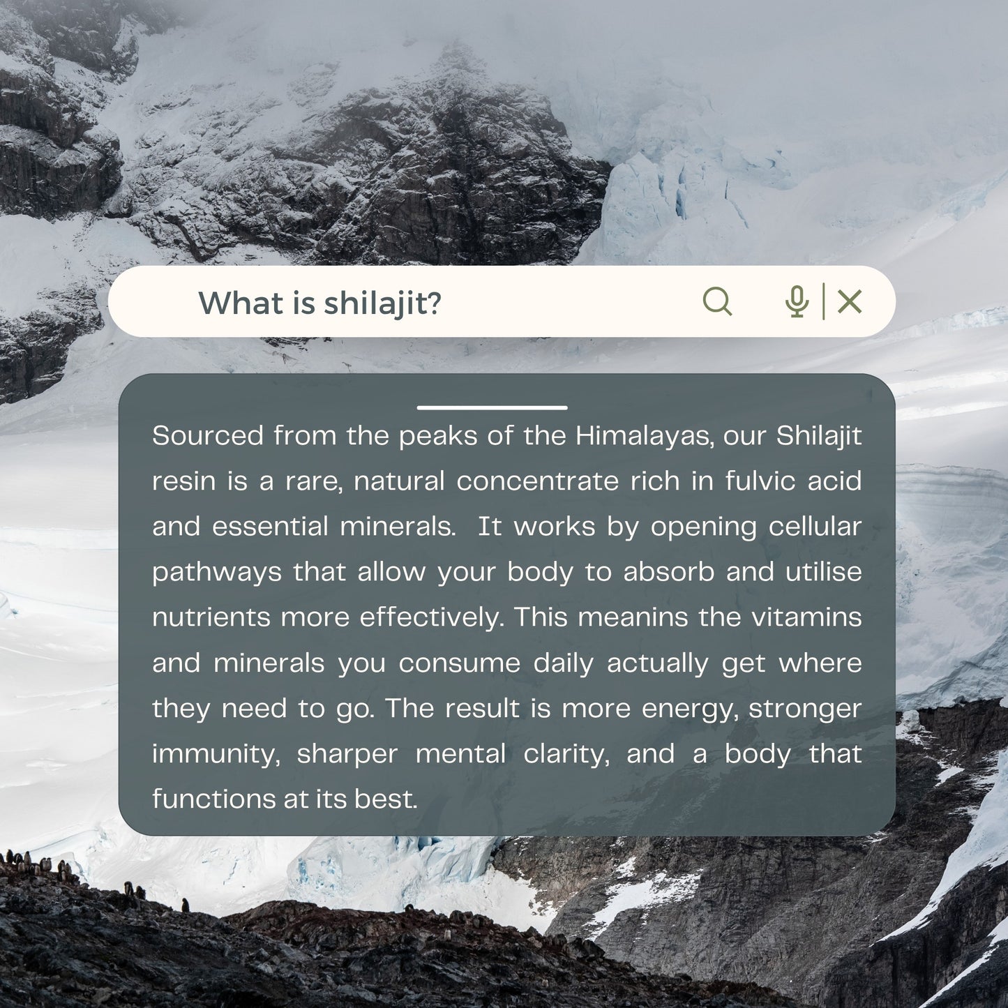 Hills N Co Pure Shilajit Resin, a natural concentrate rich in fulvic acid and minerals from the Himalayas.