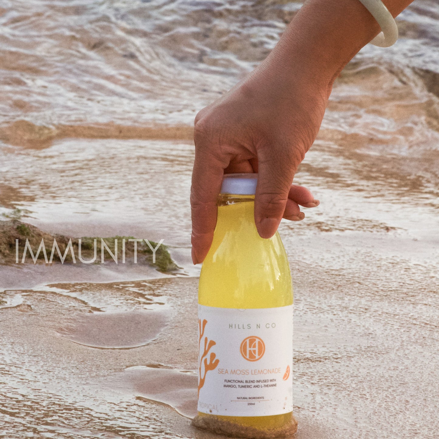 Hills N Co Tropical Sea Moss Lemonade energy drink with mango, turmeric, and L-theanine on a beach.
